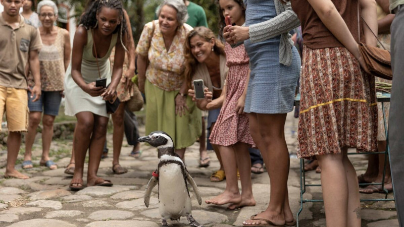 Barátom, a pingvin (6) 