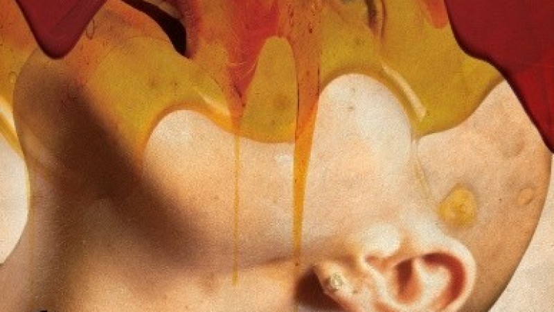 Bugonia (18) /felirat/